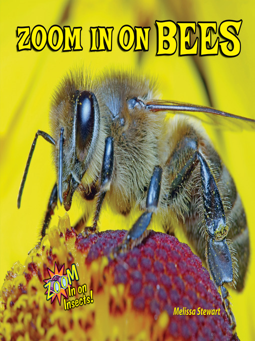 Title details for Zoom In on Bees by Melissa Stewart - Wait list